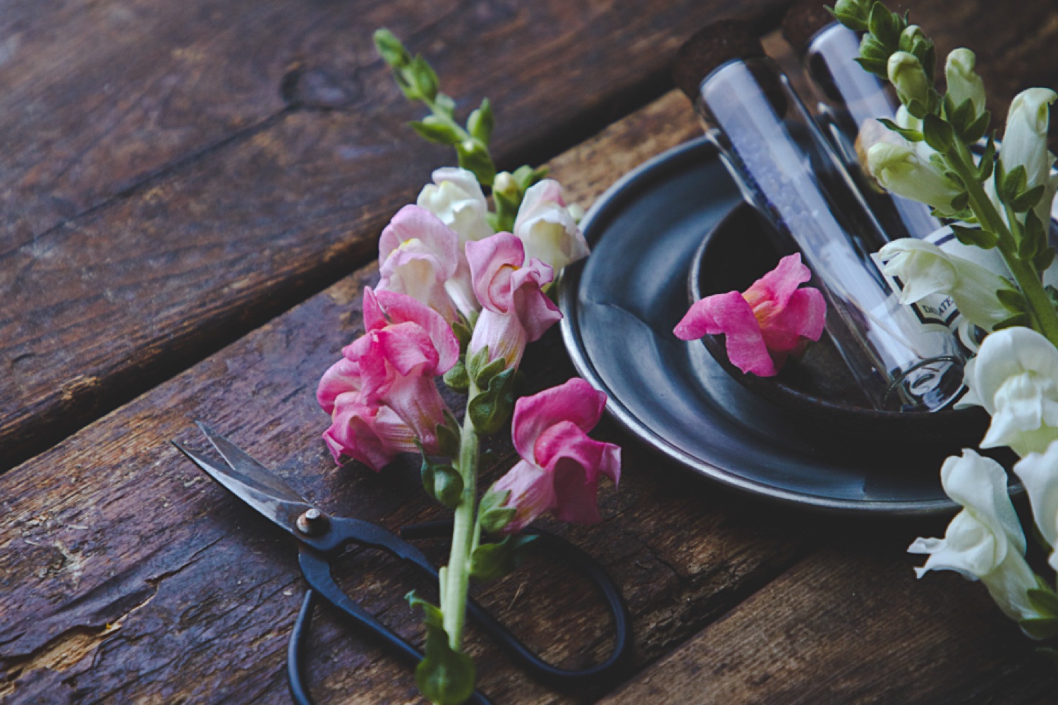 Magnolia & Linen website preview